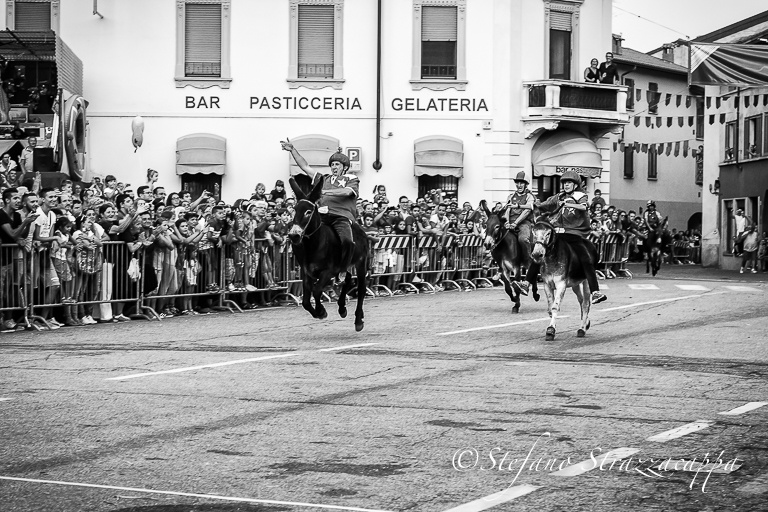 Il Palio degli Asini di Cameri. Ecco la sua storia.