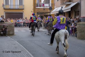 Il Palio degli Asini di Cameri e i suoi rioni.