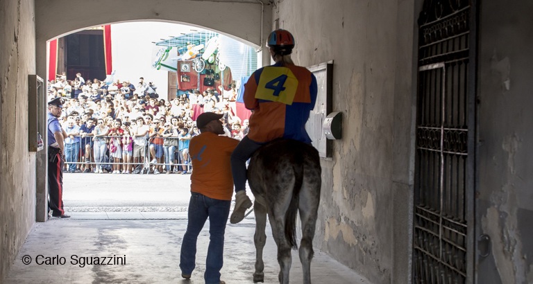 Il Palio degli Asini di Cameri e i suoi rioni.