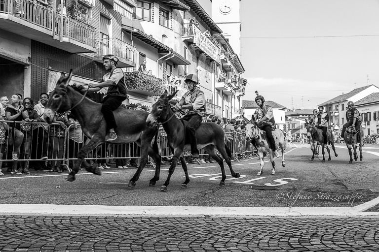 Il Palio degli Asini di Cameri e lo stretto legame tra asini e fantini.