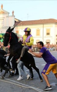 Palio di Cameri. Asino, fantino e palafreniere al canapo.